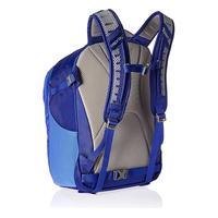 Детский рюкзак Osprey Pogo 24 л Hero Blue O/S (009.1386)