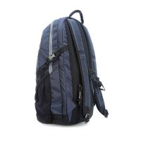 Городской рюкзак Victorinox Travel ALTMONT 3.0 Blue Slimline 27л (Vt601420)
