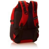 Городской рюкзак Victorinox Travel VX SPORT Cadet Red 20л (Vt311050.03)
