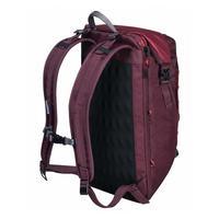 Городской рюкзак Victorinox Travel ALTMONT Active 21 л 15