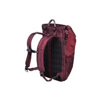 Городской рюкзак Victorinox Travel ALTMONT Active 19 л 15