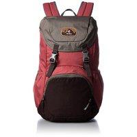 Городской рюкзак Deuter Walker 20 Cranberry-aubergine (38106175005)