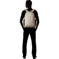 Городской рюкзак Pacsafe Metrosafe LS350 