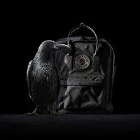 Городской рюкзак Fjallraven Kanken No.2 Black Mini 7л (24261.550)