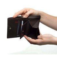 Кошелек Roncato Pascal Коричневый (412910 44)