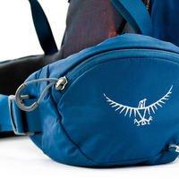 Туристический рюкзак Osprey Kestrel 48 Loch Blue M/L (009.1865)