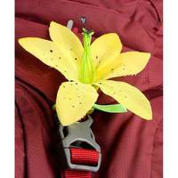 Туристический рюкзак Deuter AC Lite 14 SL Maron (34200165026)