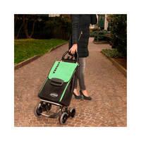 Хозяйственная сумка-тележка Aurora Avanti 4_70 Black/Green (926870)
