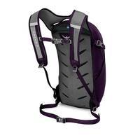 Городской рюкзак Osprey Daylite 13 Amulet Purple O/S (009.2100)