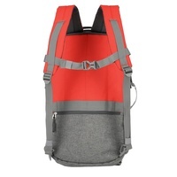 Городской рюкзак Travelite BASICS Red 30л (TL096291-10)