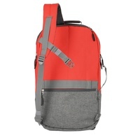 Городской рюкзак Travelite BASICS Red 30л (TL096291-10)