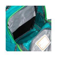 Детский рюкзак Deuter Gogo XS Indigo-Alpinegreen (3611017 3232)