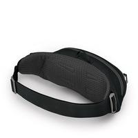 Поясная сумка Osprey Daylite Waist (S21) Black (009.2498)