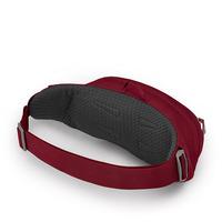 Поясная сумка Osprey Daylite Waist (S21) Cosmic Red (009.2494)