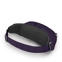 Поясная сумка Osprey Daylite Waist (S21) Dream Purple (009.2493)