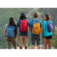 Сумка-рюкзак Osprey Daylite Tote Pack Cosmic Red 20л (009.2463)