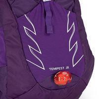 Детский рюкзак Osprey Tempest 14 Junior Jasper Green (009.2398)