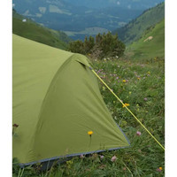 Палатка трехместная Vango Soul 300 Treetops (TERSOUL T15165)