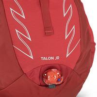 Детский рюкзак Osprey Talon 14 Junior Cosmic Red (009.2342)
