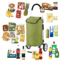 Хозяйственная сумка-тележка ShoppingCruiser Foldable 45 Green (930021)