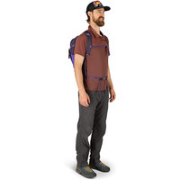 Городской рюкзак Osprey Daylite Plus 20л Dream Purple (009.2475)