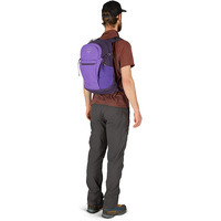 Городской рюкзак Osprey Daylite Plus 20л Dream Purple (009.2475)