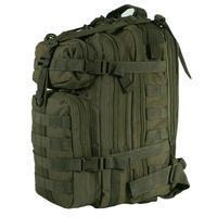 Тактический рюкзак Camo Assault 25L Olive Green (029.002.0013)