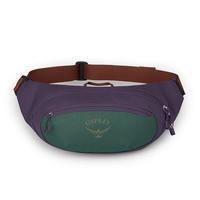 Поясная сумка Osprey Daylite Waist Axo Green/Enchantment Purple (009.3094)