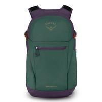 Городской рюкзак Osprey Daylite Plus 20л Axo Green/Enchantment Purple (009.3085)