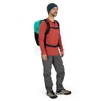 Городской рюкзак Osprey Comet 30л Black (009.3137)