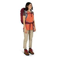 Туристический рюкзак Osprey Hikelite 28 Sangria Red M/L (009.3344)