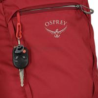 Сумка-рюкзак Osprey Daylite Tote Pack 20л Escapade Green/Baikal Green (009.3400)