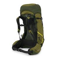 Туристический рюкзак Osprey Atmos AG LT 50 Scenic Valley/Green Peppercorn L/XL (009.3285)