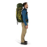 Туристический рюкзак Osprey Atmos AG LT 50 Scenic Valley/Green Peppercorn L/XL (009.3285)
