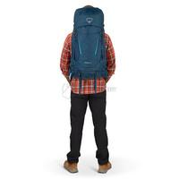 Туристический рюкзак Osprey Kestrel 48 Bonsai Green L/XL (009.3312)