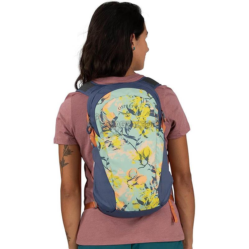 Городской рюкзак Osprey Daylite 13 Silver Lining/Blueberry (009.3396)