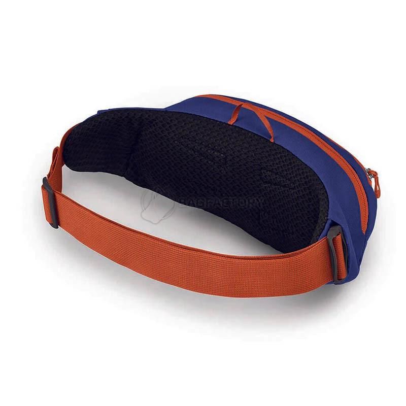 Поясная сумка Osprey Daylite Waist 2L Silver Lining/Blueberry (009.3404)