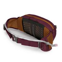Поясная сумка Osprey Seral 4 Aprium Purple (009.3422)