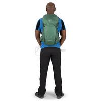 Туристический рюкзак Osprey Skarab 30 Black (009.3379)