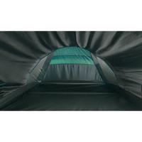 Палатка двухместная Easy Camp Energy 200 Rustic Green (120388)