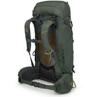 Туристический рюкзак Osprey Kestrel 38 Bonsai Green S/M (009.3431)