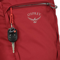 Сумка-рюкзак Osprey Daylite Tote Pack 20л Green Canopy/Green Creek (009.3451)