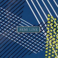 Чемодан Semi Line 24