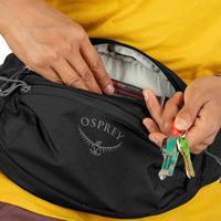 Поясная сумка Osprey Daylite Waist 2L Ash Blush Pink/Earl Grey (009.3461)