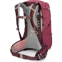 Туристический рюкзак Osprey Sirrus 24 Elderberry Purple/Chiru Tan (009.3593)