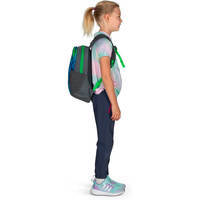 Детский рюкзак Osprey Daylite Jr 10л Northern Lights Print/Eclispe Grey (009.3613)
