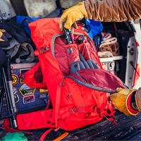 Спортивный рюкзак Gregory Alpine Targhee 45 M Sunset Orangee (121132/1842)