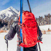 Спортивный рюкзак Gregory Alpine Targhee 45 M Sunset Orangee (121132/1842)
