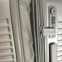 Чемодан на 4-х колесах Swissbrand Rome S 54/62л Silver (DAS302557)