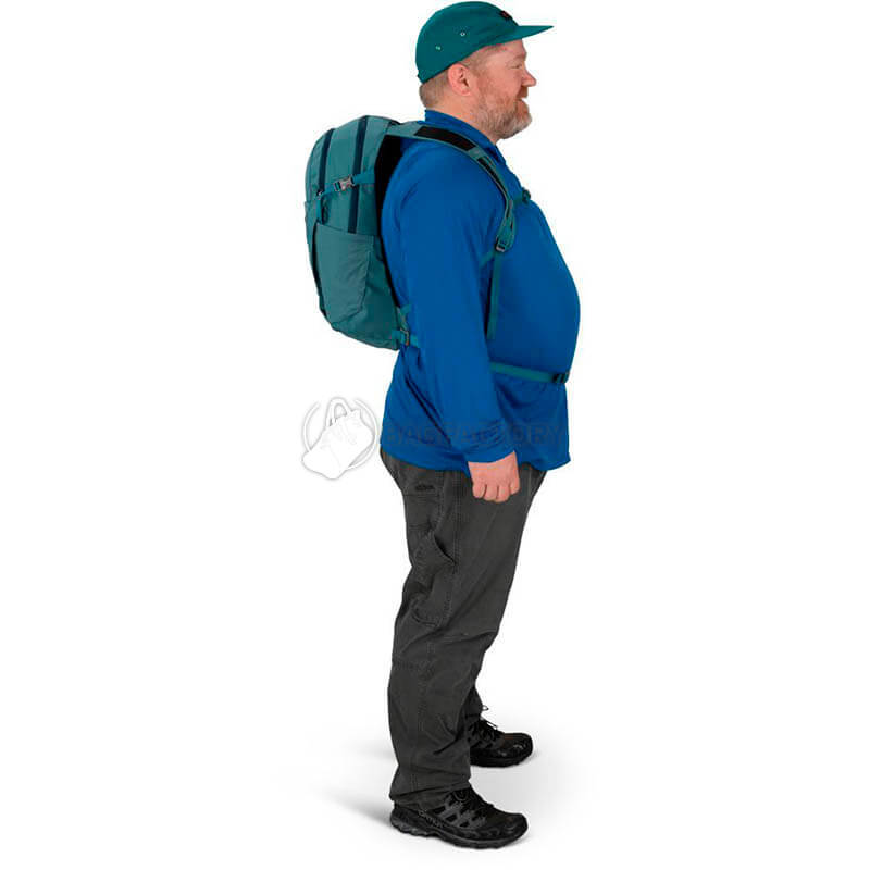 Городской рюкзак Osprey Daylite Plus Earth 20л Tropical Blue (009.3562)